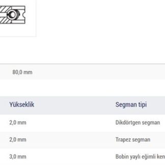MOTOR SEGMANI MEGANE R19 EXPRES KANGOO 1.9D F8Q (80.00mm) / (STD)