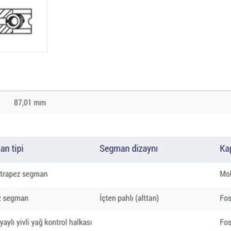 MOTOR SEGMANI LAGUNA II 2.2TDCI 16V G9T (87.00mm) / (STD)