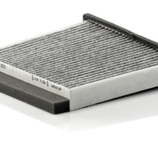 POLEN FILTRESI GRANDIS DIZEL 07 – 10
