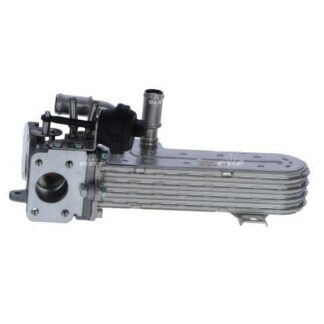 EGR VALFI PASSAT-JETTA BKP-BKD 2,0 TDI 04-