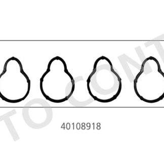 (ORING) EMME MANIFOLD CONTASI LOGAN SANDERO SOLENZA KANGOO CLIO II THALIA 1.4 / 1.6 E7J K7M K7J (LASTIK)