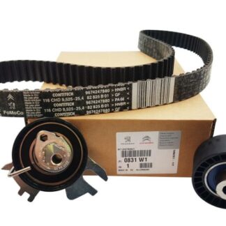 TRIGER EKSANTRIK GERGI SETI 308 407 807- 308 3008- 5008 RCZ EXPERT III JUMPY III C8 807 C5 III C4 PICASSO DW10CTED4 2.0HDI 16V 116 DIŞ KAYIŞ