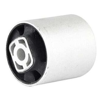 BSG 90-700-100 A4-A5-Q5 BM SALINCAK BURCU 30218 / 35380 01 (65 MM)