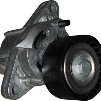ALTERNATÖR GERGİ RULMANI KÜTÜKLÜ CLIO II KANGOO MEGANE LAGUNA I II SCENIC 1.4 1.6 16V / LOGAN SANDERO 1.4