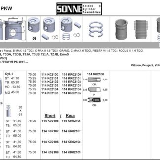 PISTON SEGMAN TAKIM (STD) P308 P3008 PARTNER TEPE P207 P508 P5008 EXPERT III JUMPY III SCUDO III C3 III DS3 DS5 C5 III C4 PICASSO DV6C P301 C ELYSSE P308 DV6DTED (1,6HDI 8V) FORD: FOCUS 1,6TDCI 11> EURO5