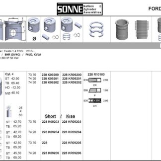MOTOR PISTON+SEGMANP207 P208 P2008 P206+ (T3E) DS3 C3 III DV4C (1,4HDI 8V) FORD: FIESTA 1,4TDCI (73,70MM) / (STD) EURO5 MOTOR