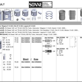 MOTOR PISTON+SEGMANI MEGANE II SCENIC CLIO III MODUS LAGUNA III KANGOO (1.5DCI EURO4 K9K) [(76.00MM STD)]