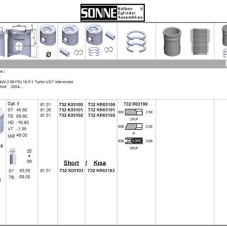 PISTON+SEGMAN (81,01mm STD) LT28 LT35 LT46 (2,5 109 PS 5 SILINDIR) AVR BBR