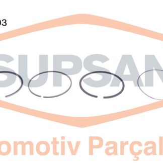 MOTOR SEGMAN TRANSIT 2.2 L V347 TDCI DURATORQ 130BG (QWFA) STD 2.000X2.000X2.000 RIKEN / NPR SEG