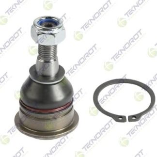 ROTIL ALT SAG-SOL PRIMERA 02- / MAXIMA 99-
