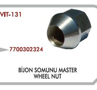 BIJON SOMUNU MASTER MOVANO