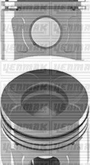 PISTON+SEGMAN STD 69.60MM FIORINO 1.3 75HP JTD II