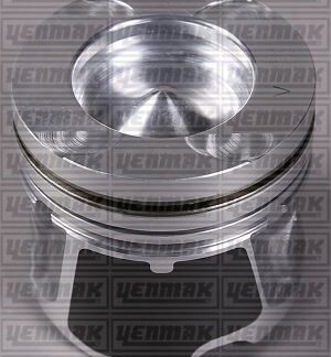 MOTOR PISTON+SEGMAN MEGANE LAGUNA TRAFIC MASTER 2.0DCI 114HP 06> (M9R EURO 4) / (84.00MM) / (STD)