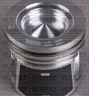 MOTOR PISTON SEGMAN (88,00MM) / (STD) DUCATO DAILY KARSAN J10 2,3JTD (EURO IV F1AE0481D)