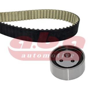 EKSANTRIK RULMAN KITI (TRIGER SETI) MASTER II 2,5 DCI 2,2 G9U G9T
