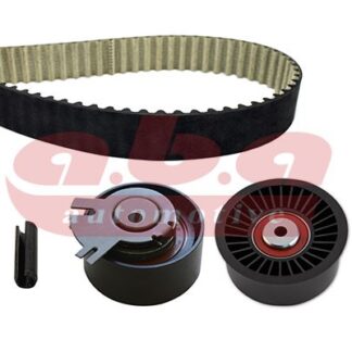 EKSANTRIK RULMAN KITI (TRIGER SETI) MASTER II 2,5 DCI 2,2 G9U G9T