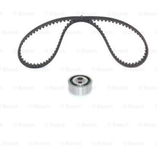 EKSANTRIK RULMAN KITI (TRIGER SETI) P106 P206 P205 P306 405 YM P206 XSARA SAXO TU5JP TU5J2 (101 DIS KAYIS)