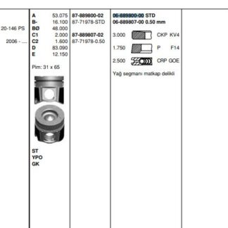 MOTOR SEGMANI MASTER 2.5 DCI-MOVANO 2.5CDTI (G9U) 145HP EURO4 (89.00MM) / (STD)