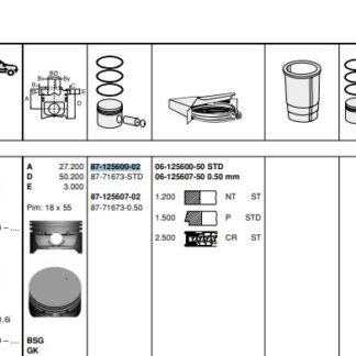 PISTON SEGMAN Z16XE ASTRA G VECTRA B / C (79,00MM) STD