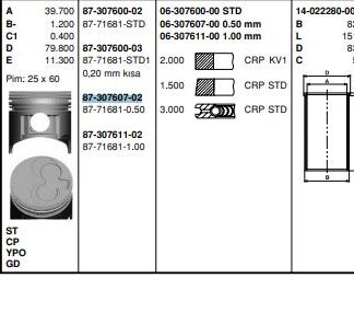 PISTON SEGMAN X17D COMBO B (79,50MM) 050