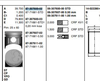 PISTON SEGMAN X17D COMBO B (79,00MM) STD
