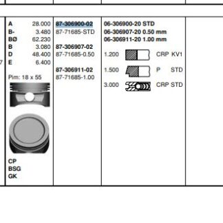 PISTON SEGMAN 16SV C16NZ ASTRA F VECTRA A (79,00MM) STD