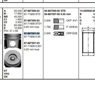 MOTOR PISTON+SEGMAN MASTER 2.5 DCI-MOVANO 2.5CDTI (G9U) 115HP EURO3 (89.00MM) / (+0.50MM)