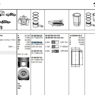 MOTOR PISTON+SEGMAN MASTER 2.5 DCI-MOVANO 2.5CDTI (G9U) 115HP EURO3 (89.00MM) / (STD) / (-0.20MM KISA)