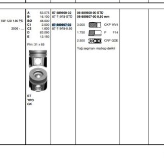 MOTOR PISTON+SEGMAN MASTER 2.5 DCI-MOVANO 2.5CDTI (G9U) 145HP EURO4 (89.00MM) / (+0.50MM)