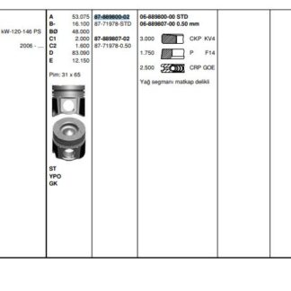 MOTOR PISTON+SEGMAN MASTER 2.5 DCI-MOVANO 2.5CDTI (G9U) 145HP EURO4 (89.00MM) / (STD)