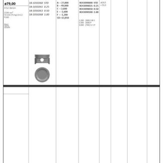 MOTOR PISTON+SEGMANI ( RIKEN ) 79,00+0,50mm CAP AVEO OPTRA LACETTI F16D R 4 PETROL-1598 CM³-55 KW (75 HP) 8 6:2