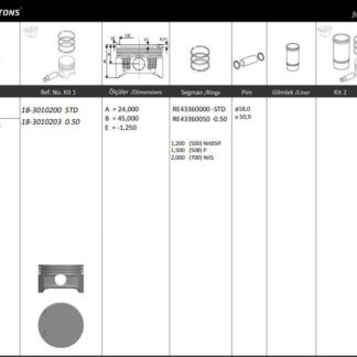 MOTOR PISTON+SEGMANI ( RIKEN ) 72,50+0,50mm CAP ASTRA CORSA AGILE X12XE-Z12XE 4SIL. BENZINLI 1199 CC-44 48 KW (60-65 PS)
