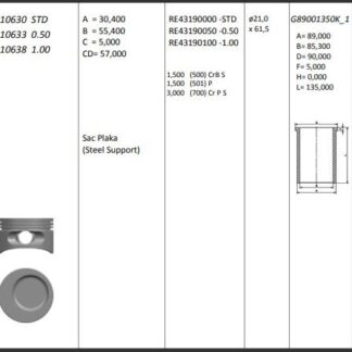 MOTOR PISTON+SEGMANI ( RIKEN ) 86,00+STDmm CAP OMEGA KADETT ASCONA VECTRA LE MANS 2,0 ESPERO 2,0 FRONTERA 20NE-C20NE R 4 BENZIN, 1998 CM³-85 95 KW
