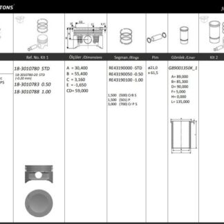 MOTOR PISTON+SEGMANI ( RIKEN ) 86,00+STDmm CAP OMEGA KADETT ASCONA VECTRA LEGANZA FRONTERA X22XE-X22SE 2.0I 2.2I