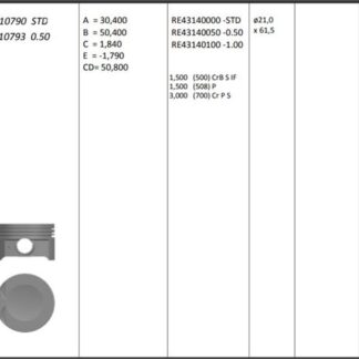 MOTOR PISTON+SEGMANI ( RIKEN ) 81,60+STDmm CAP ASTRA F VECTRA B C18XE-C18XEL R 4 PETROL, 1796 CM³-92 KW (125 HP)