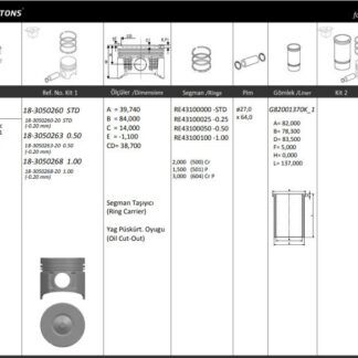 MOTOR PISTON+SEGMANI ( RIKEN ) 79,00+0,50mm CAP ASTRA G COMBO BOX CORSA C MERIVA Y17DT DTL 4 SIL. DIZEL 1686 CC-55 KW (75 PS) 18,4:1-TURBO, I
