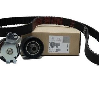 TRIGER EKSANTRIK GERGI SETI 406 306 XANTIA XANTIA II XSARA ZX XU7JP4 1.8 16V 136 DIŞ KAYIŞ