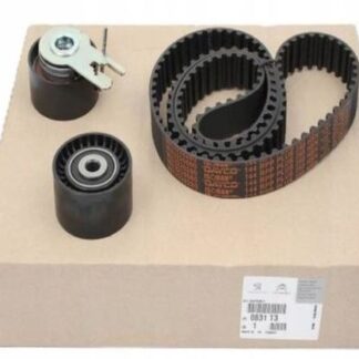 EKSANTRIK RULMAN KITI (TRIGER SETI) P107 P206 P307 C1 C2 C3 C3 PLURIEL XSARA FIESTA V FUSION AVEO 1,
