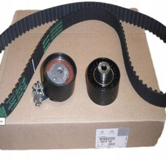 TRIGER EKSANTRIK GERGI SETI C2 C3 C4 207 206 307 1.4 16V 03> ET3J4 135 DIŞ KAYIŞ
