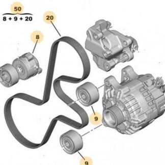 ALTERNATOR V KAYIŞI KITI BERLINGO II BERLINGO III PARTNER II PARTNER TEPE C5 X7 JUMPY III NEMO SCUDO III 407 DV6 1.6HDI 16V 206 BIPPER DV4TD 1.4HDI 06>