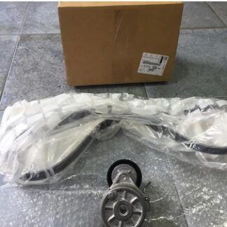 ALTERNATOR RULMAN KITI P301 P308 II (T9) P208 P2008 DS3 C3 III C4 CACTUS C ELYSEE EBM2 / EB2F KLIMALI