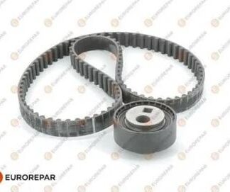 EKSANTRIK RULMAN KITI (TRIGER SETI) P106 P206 P205 P306 405 YM P206 XSARA SAXO TU5JP TU5J2 (101 DIS KAYIS)(EUROREPAR)