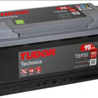 AKU 12V 95 AH 800A L05 (353×175×190)