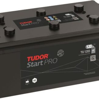 AKU 12V 120 AH 680A D04 (513×189×223) START PRO