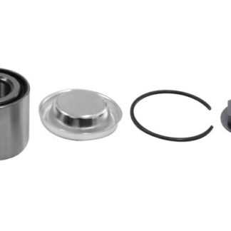 ARKA TEKER RULMANI (SET) P208 P301 DS3 C3 III C ELYSEE 08>KAMPANALI OLCU: (G: 42*I,C: 25*D,C: 52)