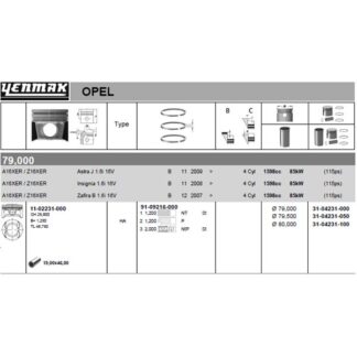 MOTOR PISTON SEGMAN KOMPLE 100 (80.00MM) ASTRA J – INSIGNIA A – MOKKA – ASTRA H – ZAFIRA B – Z16XER