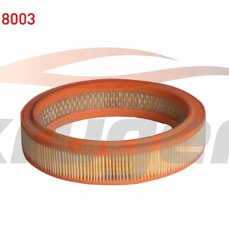 HAVA FİLTRESİ İÇİ SAÇLI DKŞ M131