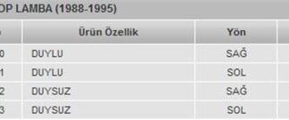 STOP LAMBASI CAMI SAG SAHIN 88>