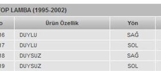STOP LAMBASI CAMI SAG SAHIN 1993